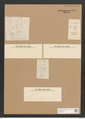 Diatomeae indet. Zeichnungen Sammlung Grunow Nr. 3914 (NHMW-BOT-W0371647)